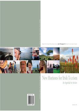 New Horizons for Irish Tourism an Agenda for Action