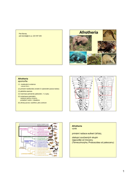 Afrotheria Petr.Benda@Nm.Cz; 224 497 263