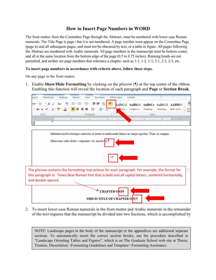 How to Insert Page Numbers in WORD the Front Matter, from the Committee Page Through the Abstract, Must Be Numbered with Lower Case Roman Numerals