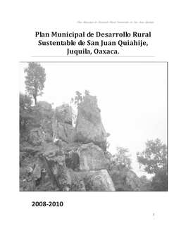 Plan Municipal De Desarrollo Rural Sustentable De San Juan Quiahije, Juquila, Oaxaca. 2008 2010