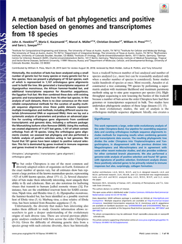 A Metaanalysis of Bat Phylogenetics and Positive Selection Based on Genomes and Transcriptomes from 18 Species