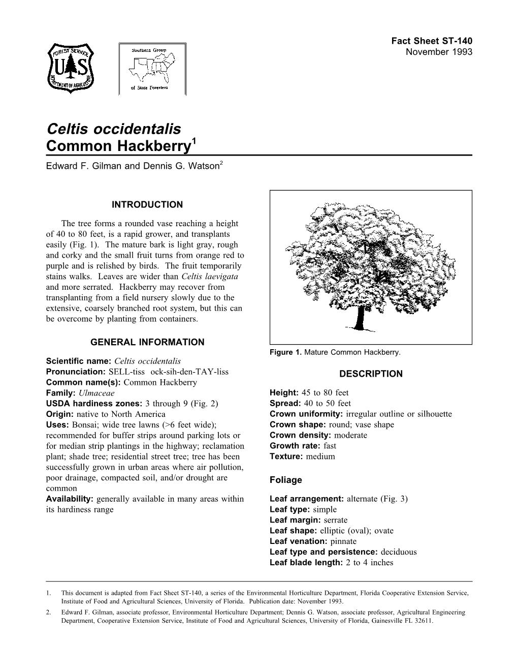 Celtis Occidentalis Common Hackberry1 Edward F