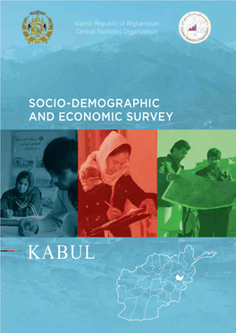 Socio-Demographic and Economic Survey
