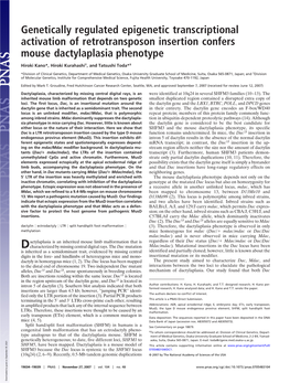 Genetically Regulated Epigenetic Transcriptional Activation of Retrotransposon Insertion Confers Mouse Dactylaplasia Phenotype