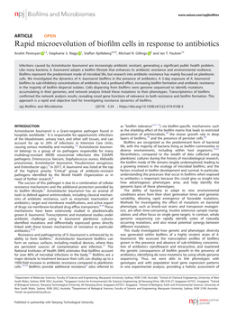 Rapid Microevolution of Biofilm Cells in Response to Antibiotics