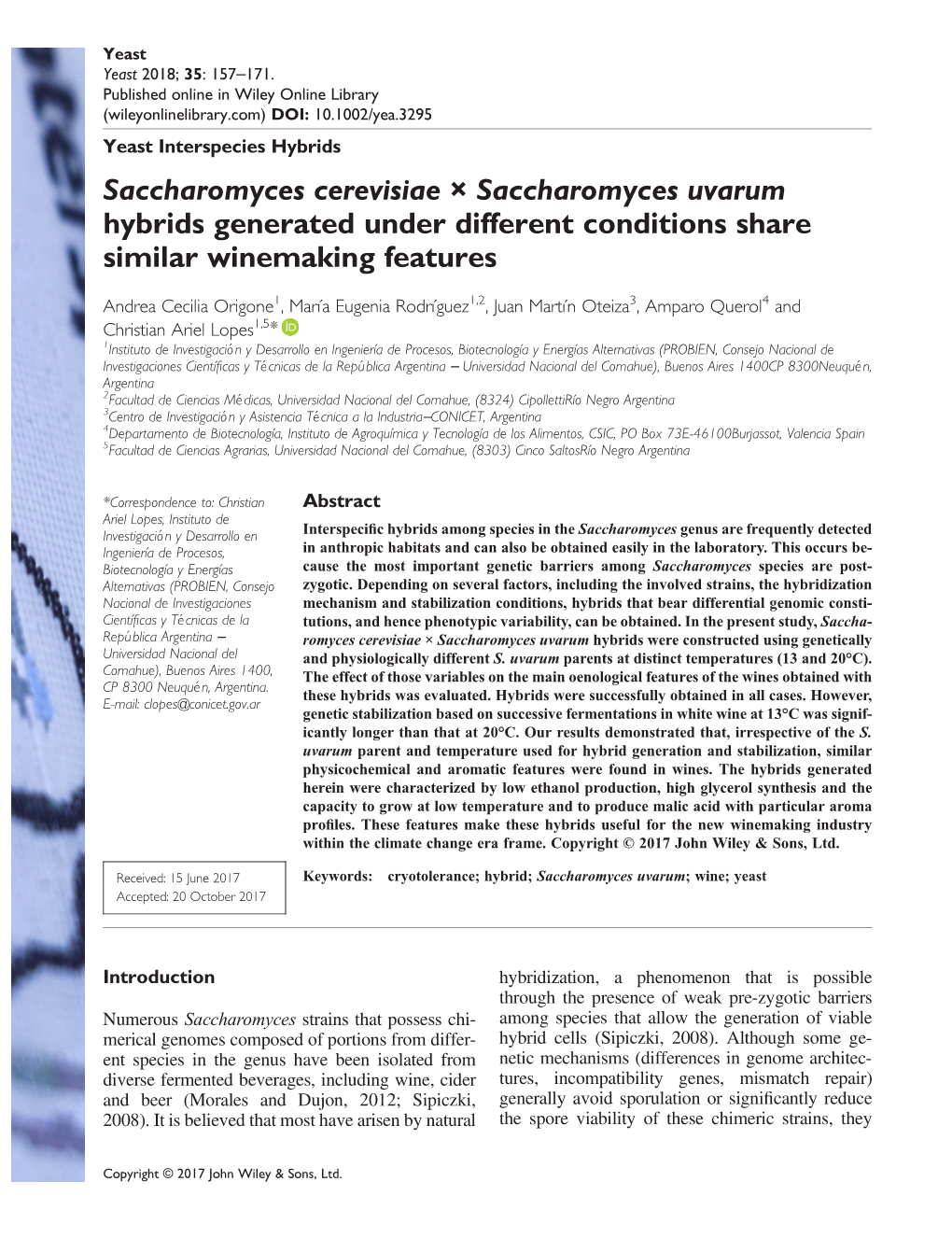 Saccharomyces Cerevisiae × Saccharomyces Uvarum Hybrids Generated Under Different Conditions Share Similar Winemaking Features