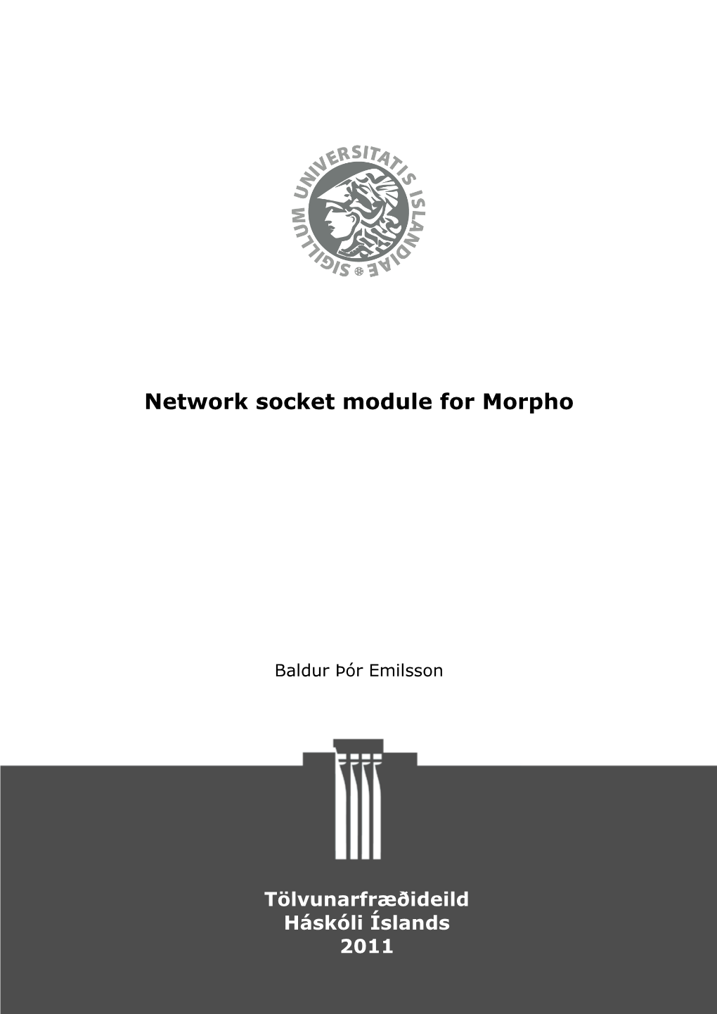 Network Socket Module for Morpho