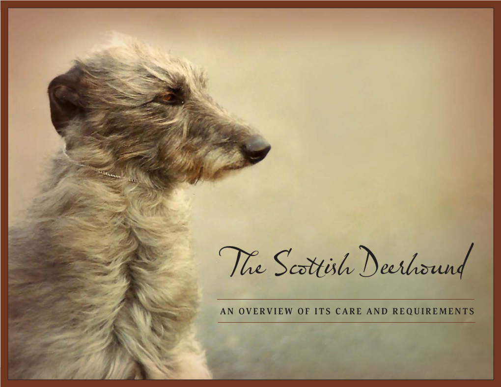 The Scottish Deerhound an OVERVIEW of ITS CARE and REQUIREMENTS