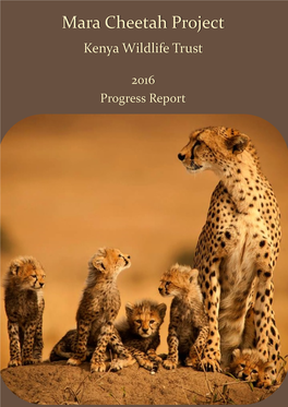 Mara Cheetah Project-Annual Report 2016