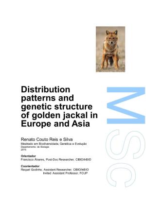 Distribution Patterns and Genetic Structure of Golden Jackal in Europe and Asia