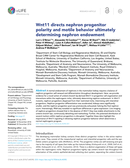 Wnt11 Directs Nephron Progenitor Polarity and Motile Behavior