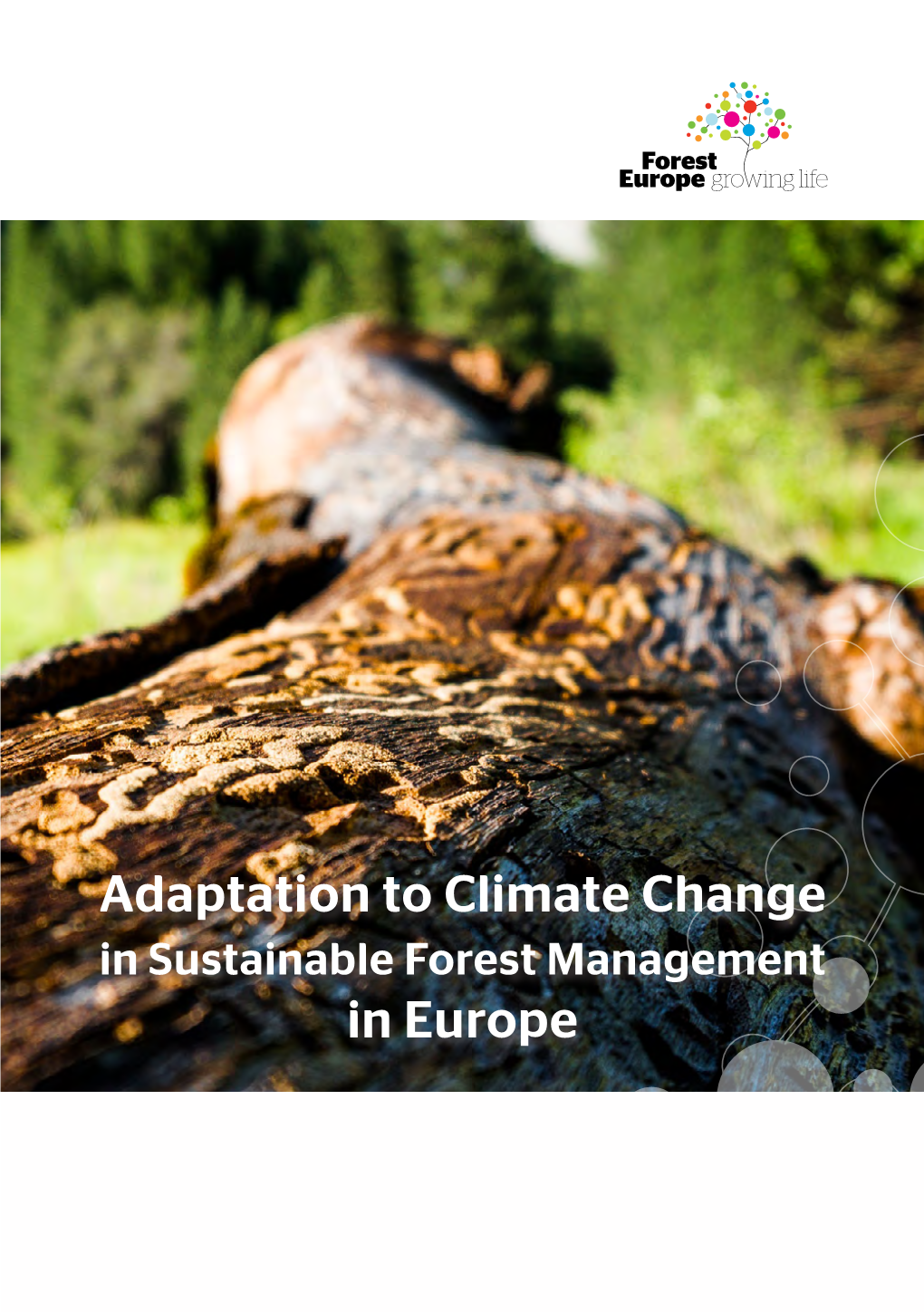 Adaptation to Climate Change in Sustainable Forest Management in Europe