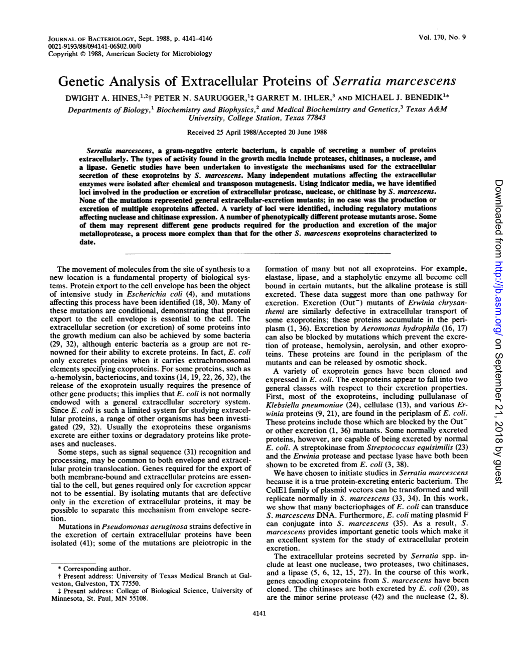 Genetic Analysis of Extracellular Proteins of Serratia Marcescens DWIGHT A