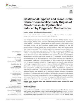 Gestational Hypoxia and Blood-Brain Barrier Permeability: Early Origins of Cerebrovascular Dysfunction Induced by Epigenetic Mechanisms