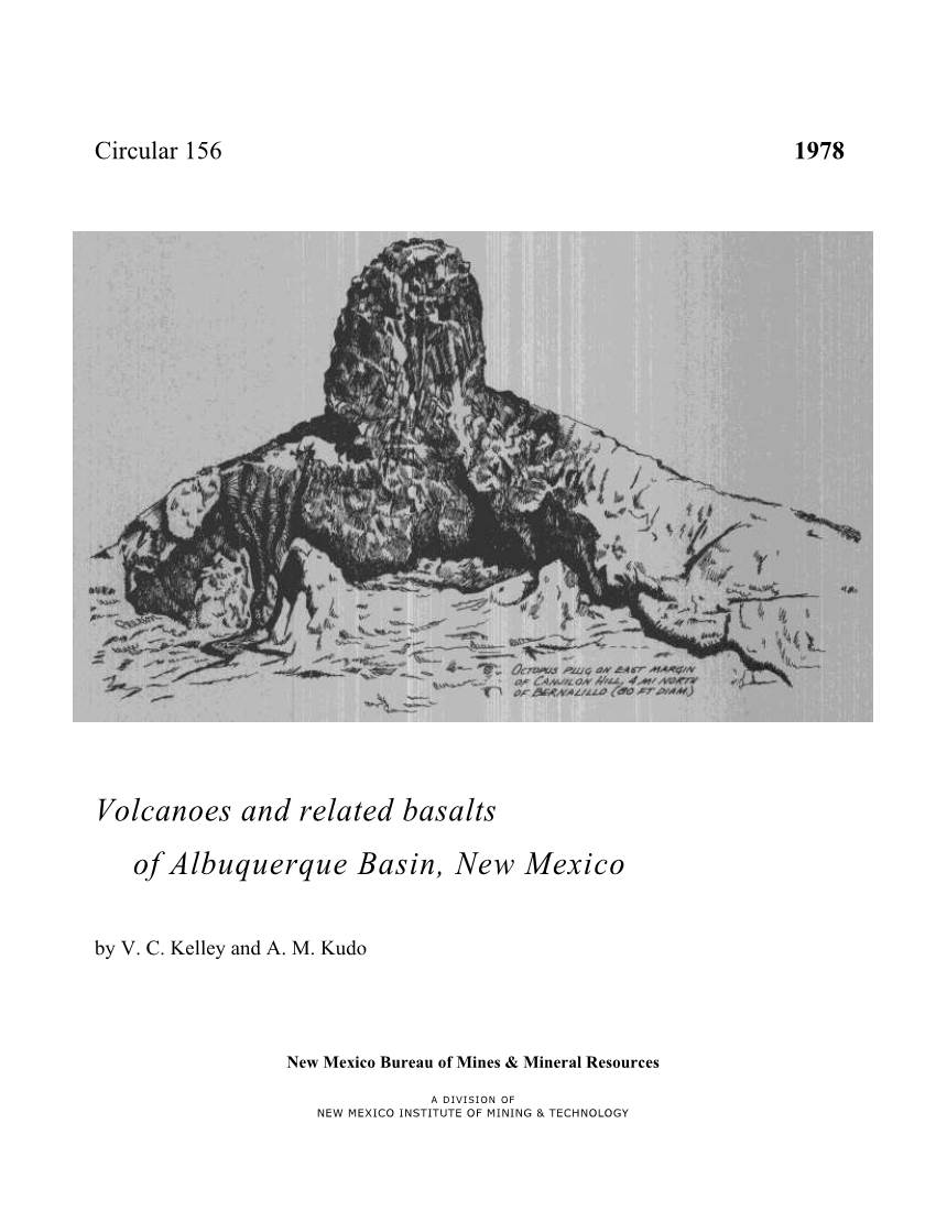 Volcanoes and Related Basalts of Albuquerque Basin, New Mexico by V