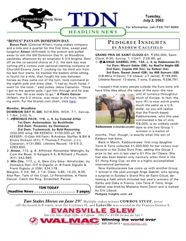 EVANSVILLE SLEW Slew City Slew S Shape Shifter, by Fappiano 2002 Fee: $3,500 Live Foal, Due Sept