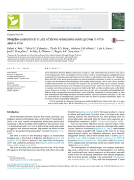 Morpho-Anatomical Study of Stevia Rebaudiana Roots Grown in Vitro and in Vivo