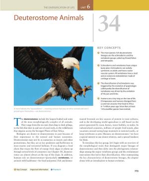 Deuterostome Animals 34