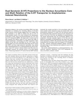 Projections to the Nucleus Accumbens Core and Shell: Relation of the 5-HT Transporter to Amphetamine-Induc
