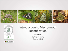 Introduction to Macro-Moth Identification