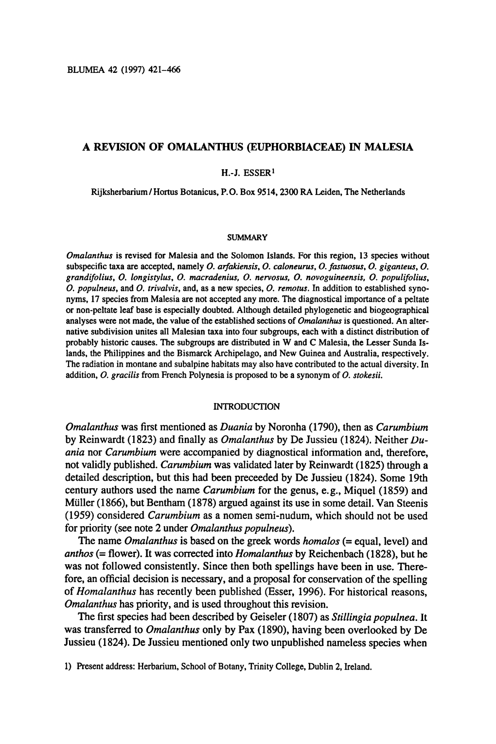 (Euphorbiaceae) (1807) As Stillingia Populnea. Only By