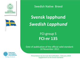 Svensk Lapphund Swedish Lapphund