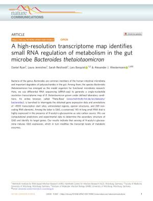A High-Resolution Transcriptome Map Identifies Small RNA