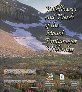 Wildflowers and Weeds of the Mount Timpanogos Wilderness