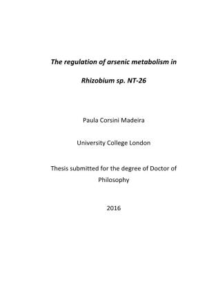 The Regulation of Arsenic Metabolism in Rhizobium Sp. NT-26