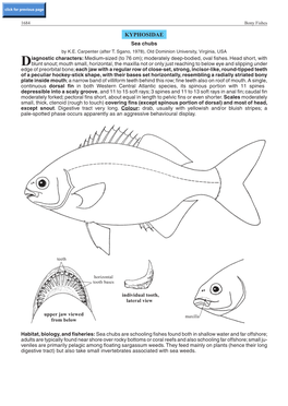 KYPHOSIDAE Sea Chubs by K.E