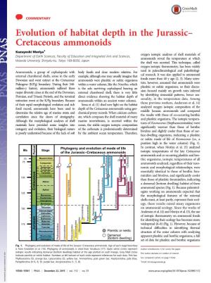 Cretaceous Ammonoids