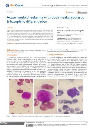 Acute Myeloid Leukemia with Both Meakaryoblastic & Basophilic