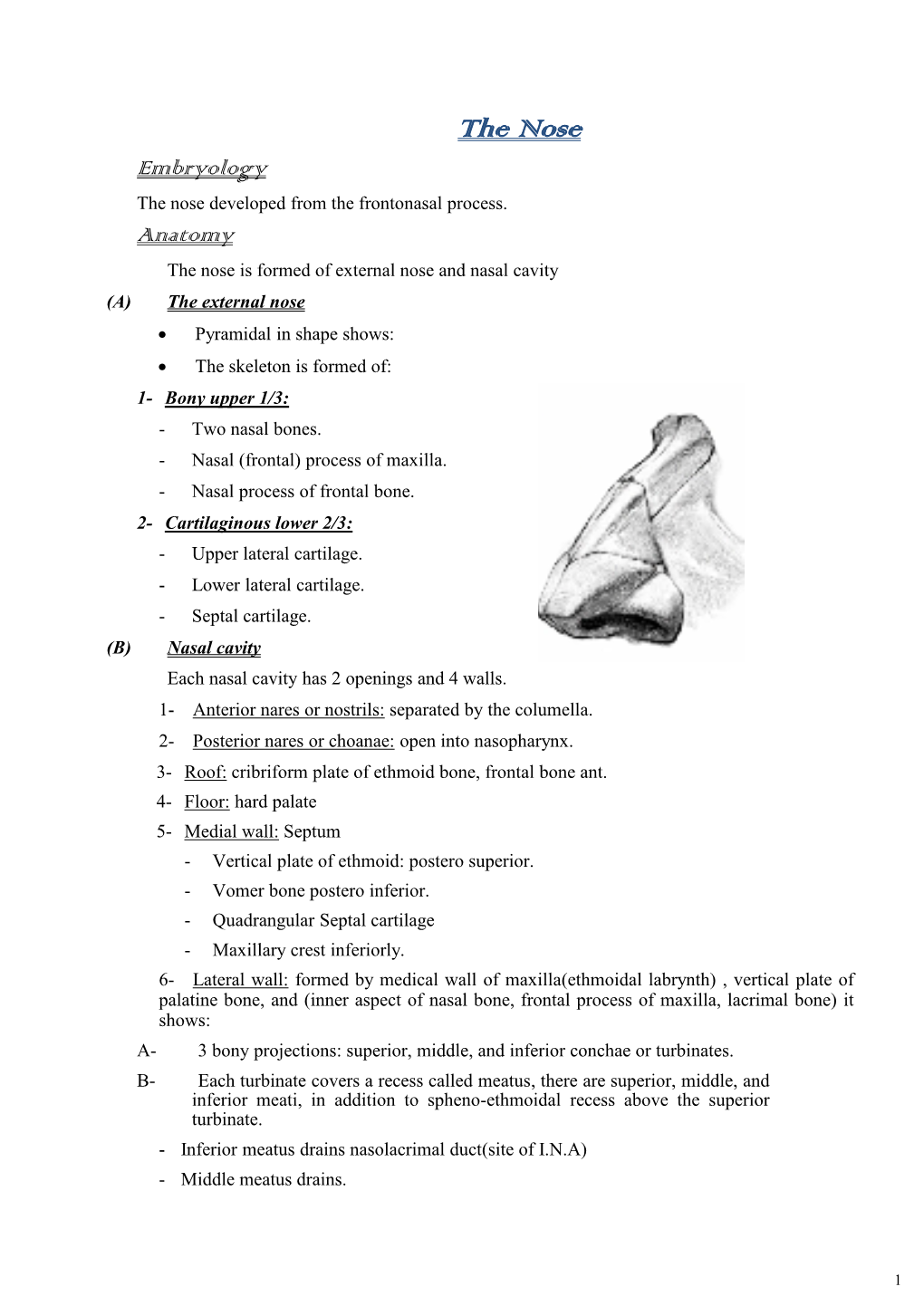 The Nose Embryology the Nose Developed from the Frontonasal Process