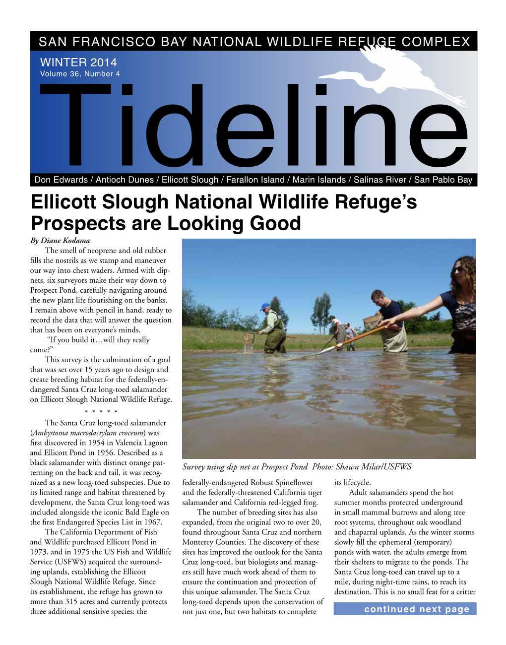 Ellicott Slough National Wildlife Refuge's Prospects Are Looking Good