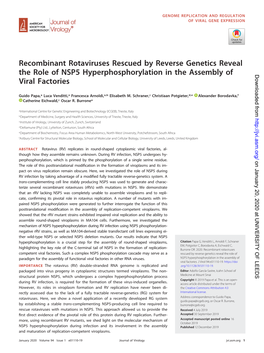 Recombinant Rotaviruses Rescued by Reverse Genetics Reveal the Role