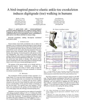 A Bird-Inspired Passive-Elastic Ankle-Toe Exoskeleton Induces Digitigrade (Toe) Walking in Humans