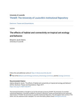 The Effects of Habitat and Connectivity on Tropical Ant Ecology and Behavior