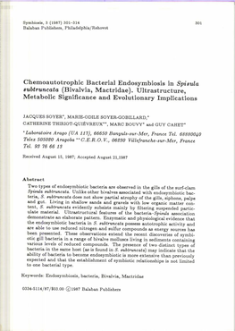 Chemoautotrophic Bacterial Endosymbiosis in Spisula Subtruncata (Bivalvia, Mactridae)