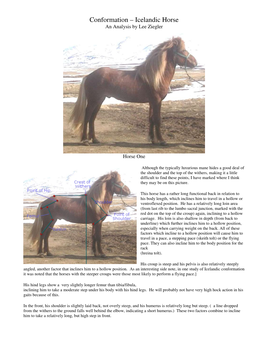 Conformation – Icelandic Horse an Analysis by Lee Ziegler