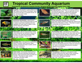 Tropical Community Aquarium Presented by the American Fisheries Society “Bringing Aquatic Sciences Together Since 1969”