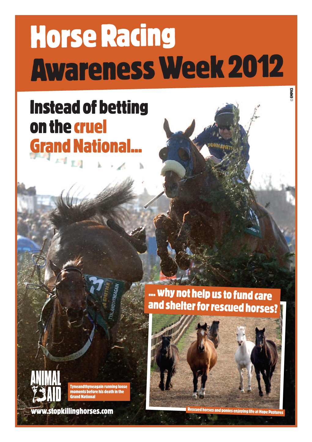 Horse Racing Awareness Week 2012 S C I P M E Instead of Betting © on the Cruel Grand National