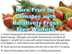 These Fruiting Plants Will Tolerate Occasional Temperatures at Or Below Freezing