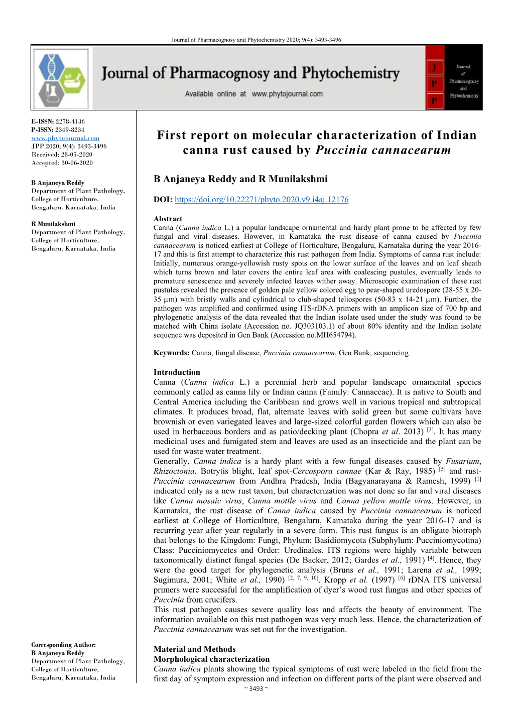 First Report on Molecular Characterization of Indian Canna