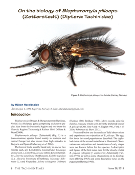 On the Biology of Blepharomyia Piliceps (Zetterstedt) (Diptera: Tachinidae)
