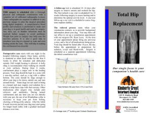 Total Hip Replacement Brochure