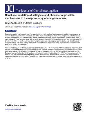 Renal Accumulation of Salicylate and Phenacetin: Possible Mechanisms in the Nephropathy of Analgesic Abuse