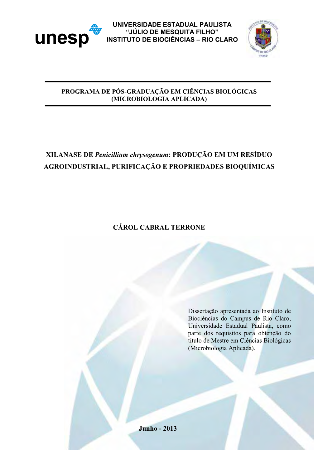 XILANASE DE Penicillium Chrysogenum: PRODUÇÃO EM UM RESÍDUO AGROINDUSTRIAL, PURIFICAÇÃO E PROPRIEDADES BIOQUÍMICAS