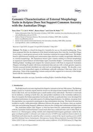 Genomic Characterization of External Morphology Traits in Kelpies Does Not Support Common Ancestry with the Australian Dingo