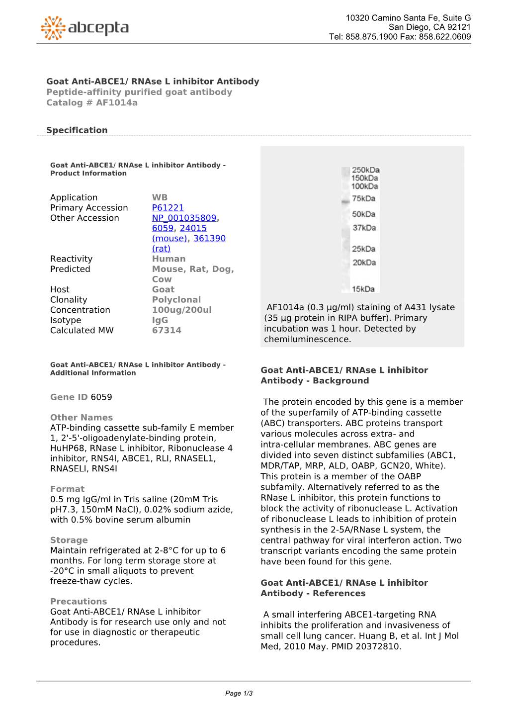 Goat Anti-ABCE1/ Rnase L Inhibitor Antibody Peptide-Affinity Purified Goat Antibody Catalog # Af1014a