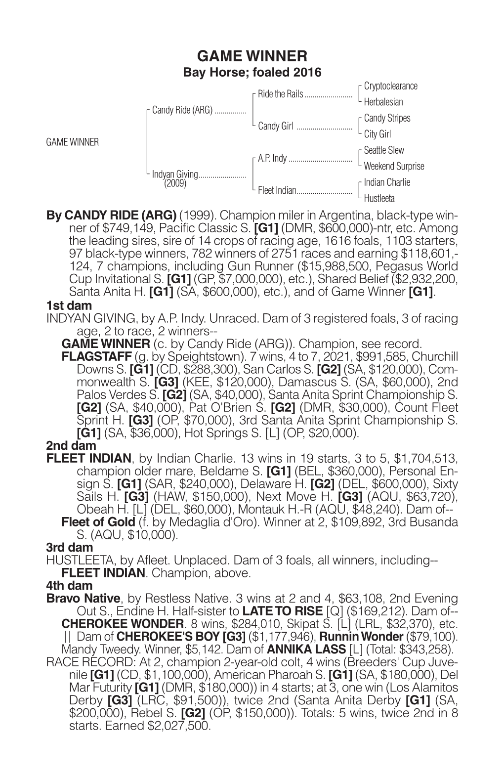 GAME WINNER Bay Horse; Foaled 2016 Cryptoclearance Ride the Rails